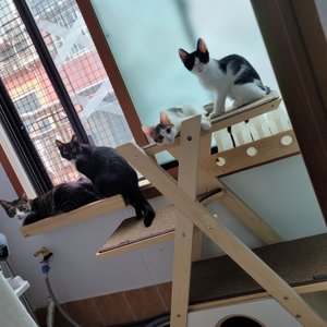 베스트 후기 이미지