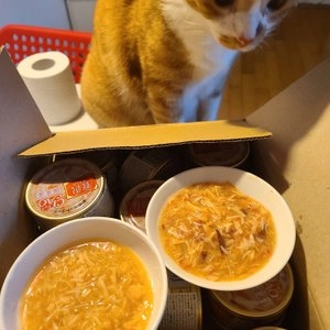 이나바 캣 챠오 제이타크 혼마구로&참치&닭가슴살 80g 베스트 후기 이미지