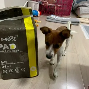 베스트 후기 이미지