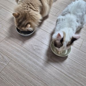 베스트 후기 이미지