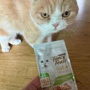 베스트 후기 이미지