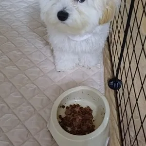 베스트 후기 이미지