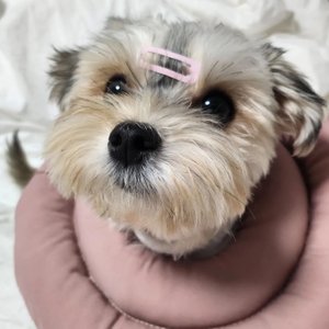 베스트 후기 이미지