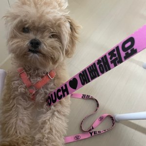 베스트 후기 이미지