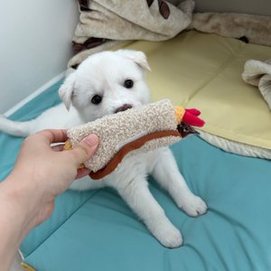 베스트 후기 이미지