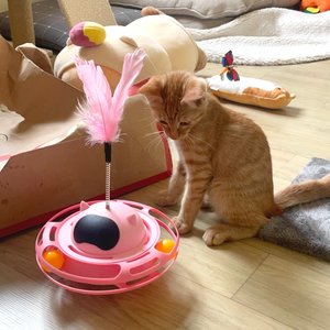 베스트 후기 이미지