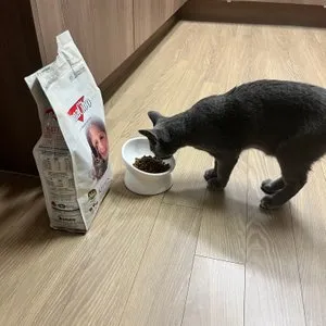 베스트 후기 이미지