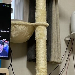 [무료배송] 헬로망치 캣타워 DH0022 베스트 후기 이미지