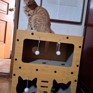 베스트 후기 이미지