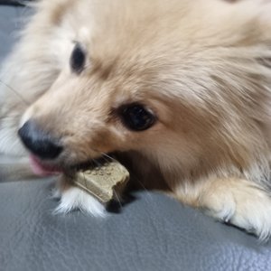 베스트 후기 이미지