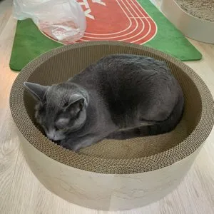 베스트 후기 이미지