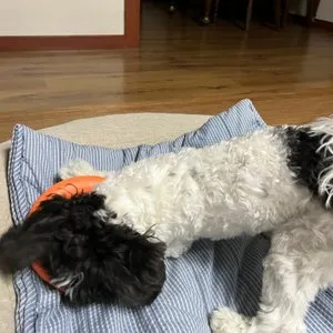 베스트 후기 이미지