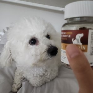 베스트 후기 이미지