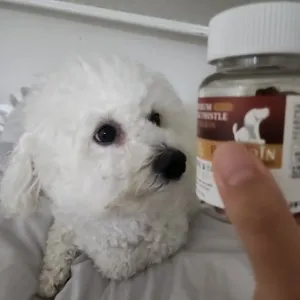 베스트 후기 이미지