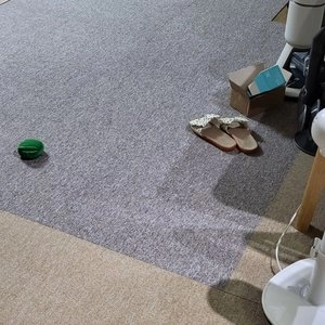 [무료배송] 세븐펫 도톰매트 그란데 18P 50X50cm 베스트 후기 이미지