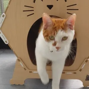 베스트 후기 이미지