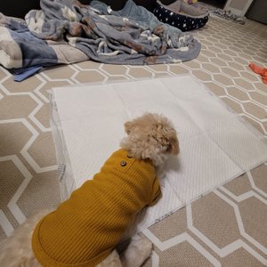 베스트 후기 이미지