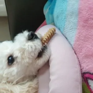 베스트 후기 이미지