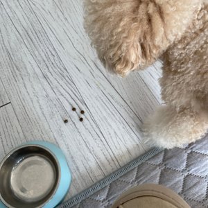 베스트 후기 이미지