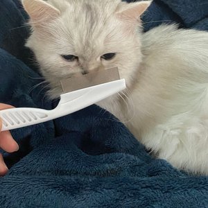 베스트 후기 이미지