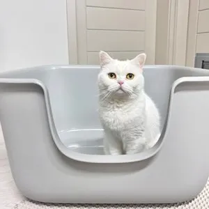 베스트 후기 이미지