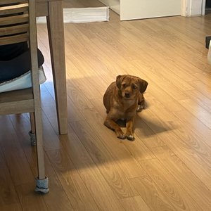 베스트 후기 이미지