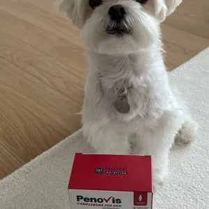 베스트 후기 이미지