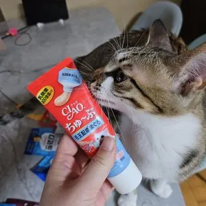 베스트 후기 이미지