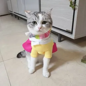 베스트 후기 이미지