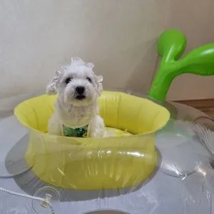 베스트 후기 이미지