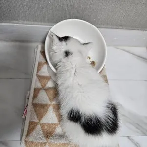 베스트 후기 이미지