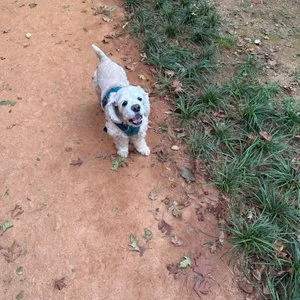 베스트 후기 이미지