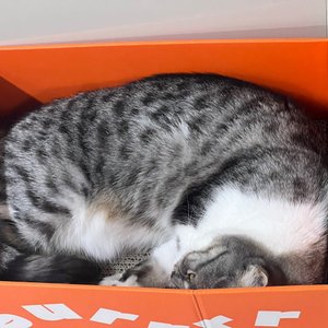 베스트 후기 이미지