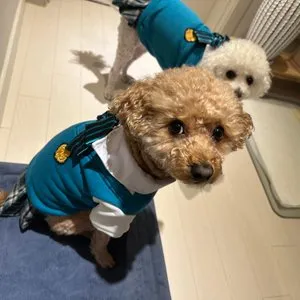 베스트 후기 이미지