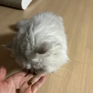 베스트 후기 이미지