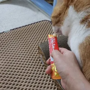 베스트 후기 이미지