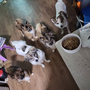베스트 후기 이미지