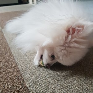베스트 후기 이미지