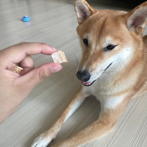 베스트 후기 이미지
