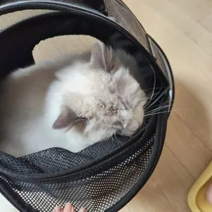 베스트 후기 이미지