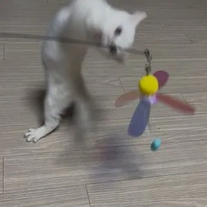 베스트 후기 이미지