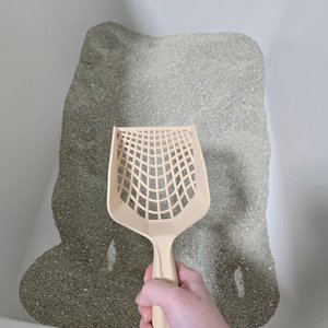 베스트 후기 이미지