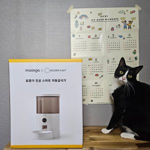 베스트 후기 이미지