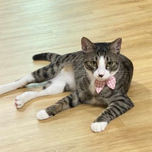 베스트 후기 이미지