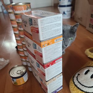 베스트 후기 이미지