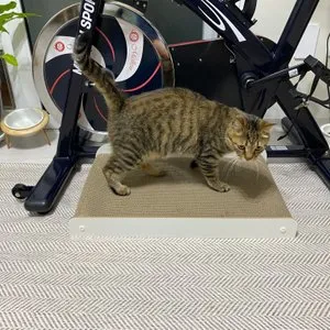 베스트 후기 이미지