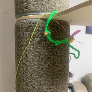 베스트 후기 이미지