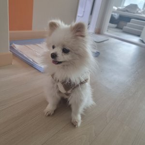 베스트 후기 이미지