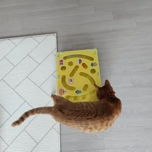 베스트 후기 이미지