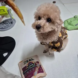 베스트 후기 이미지